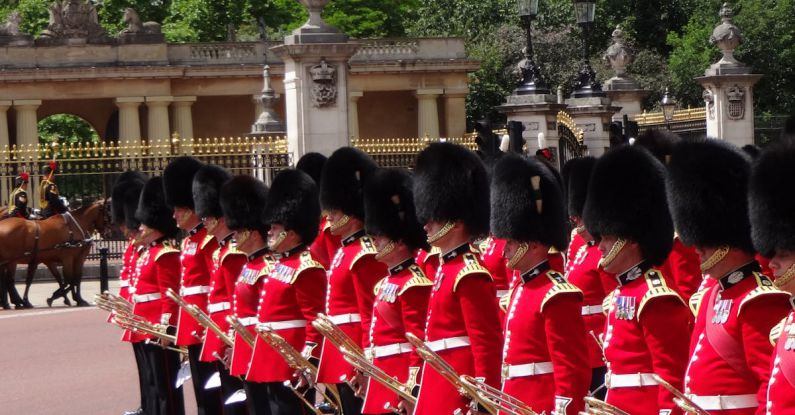 Gutter Guards - BUCKINGHAM PALACE