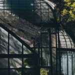 Garden Plants - A greenhouse with a glass roof and trees