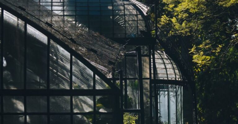 Garden Plants - A greenhouse with a glass roof and trees